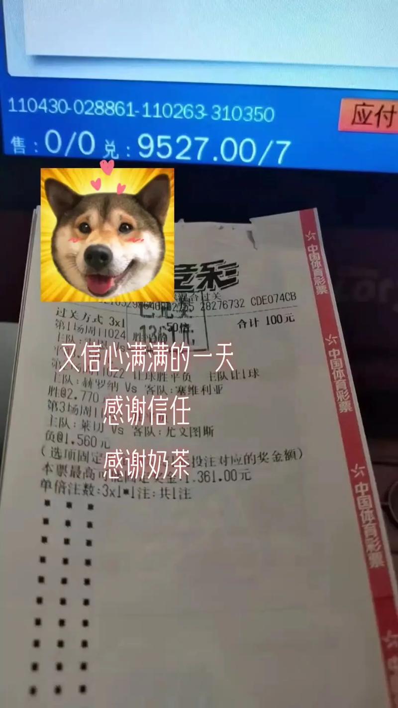 华体会体育官网揭秘：竞彩和单场投注的区别